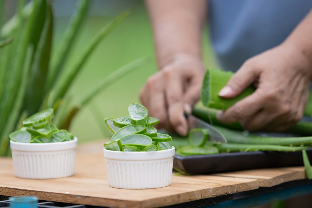 Preparing Fresh Aloe Vera Gel: